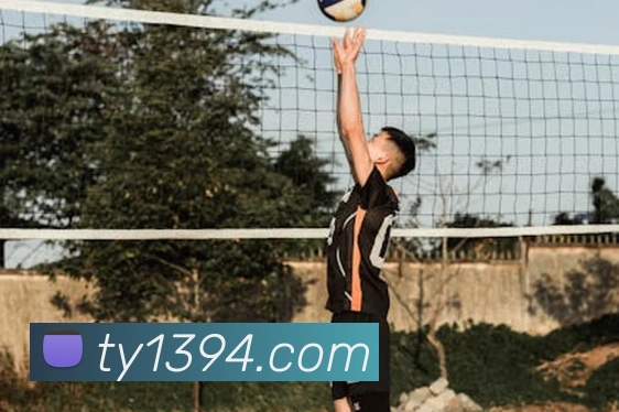 多媒体互动体验